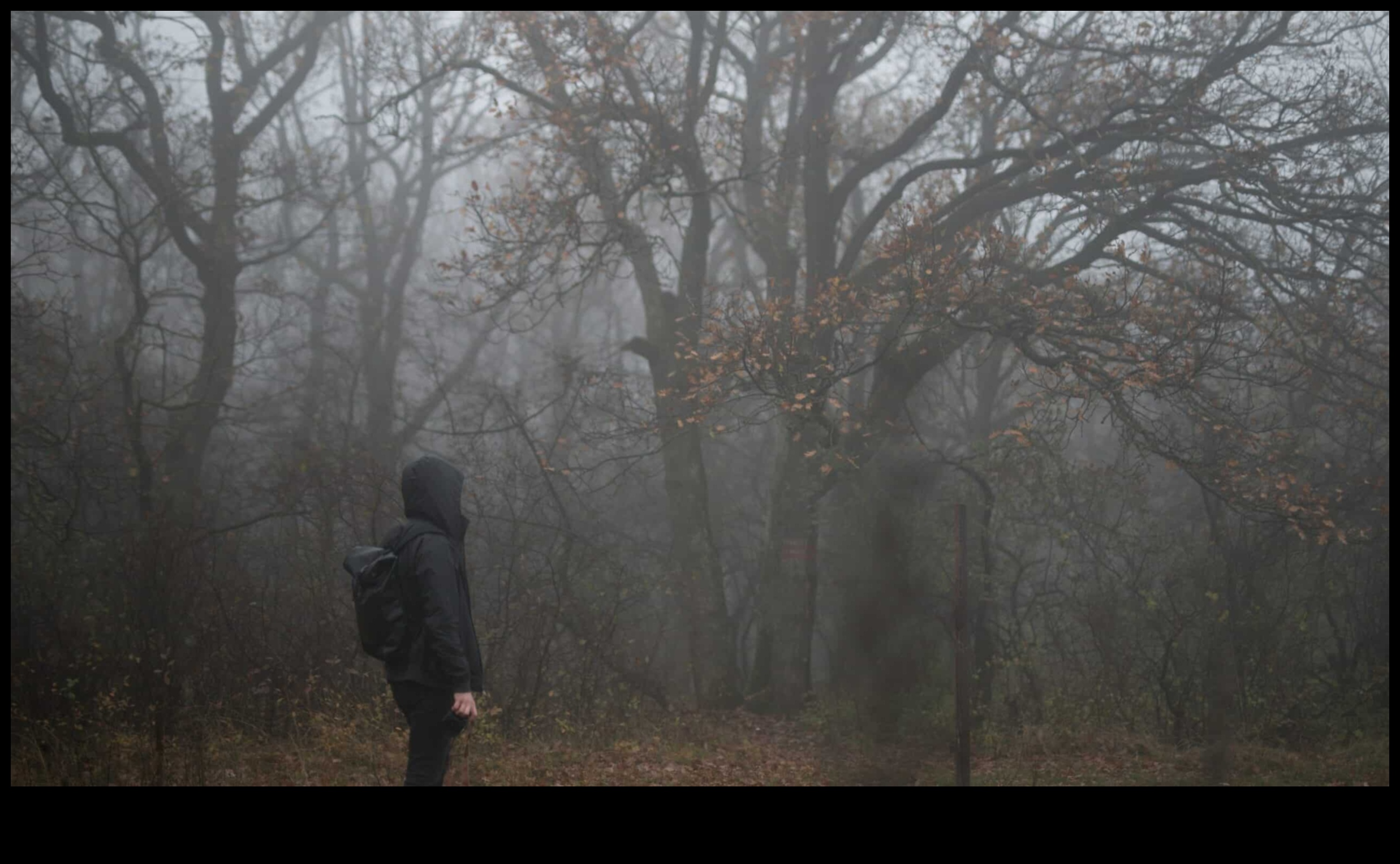 Foggy Fantasia Πώς να δημιουργήσετε ατμοσφαιρικές και μυστηριώδεις λήψεις 5 Foggy Fantasia: Techniques for Atmospheric and Mysterious Shots