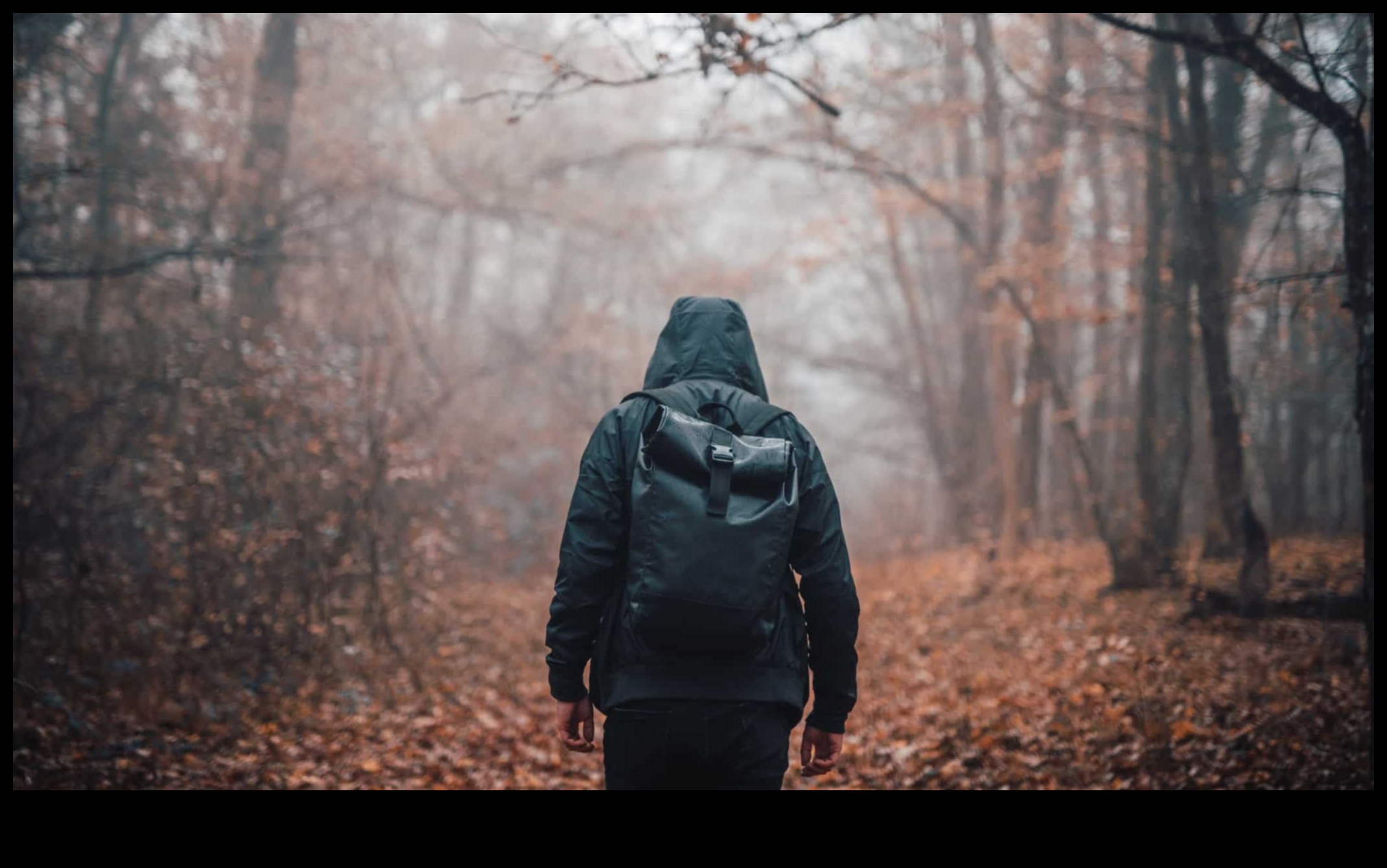 Foggy Fantasia Πώς να δημιουργήσετε ατμοσφαιρικές και μυστηριώδεις λήψεις 2 Foggy Fantasia: Techniques for Atmospheric and Mysterious Shots