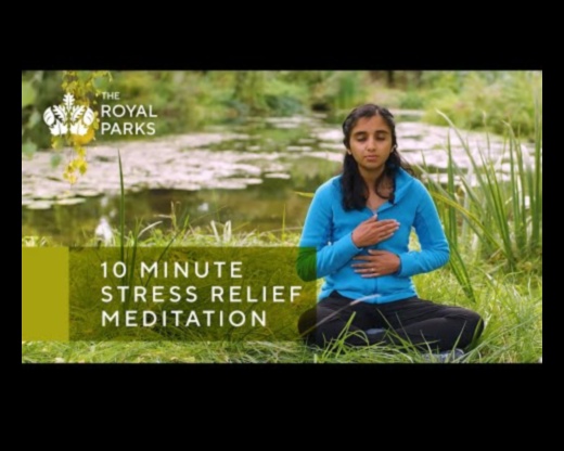 Άτομα που αναζητούν γαλήνη Πώς μπορεί ο διαλογισμός να σας βοηθήσει να βρείτε καθημερινή ανακούφιση από το άγχος 3 Αναζητητές γαλήνης: Καλλιέργεια καθημερινής ανακούφισης από το στρες μέσω διαλογισμού