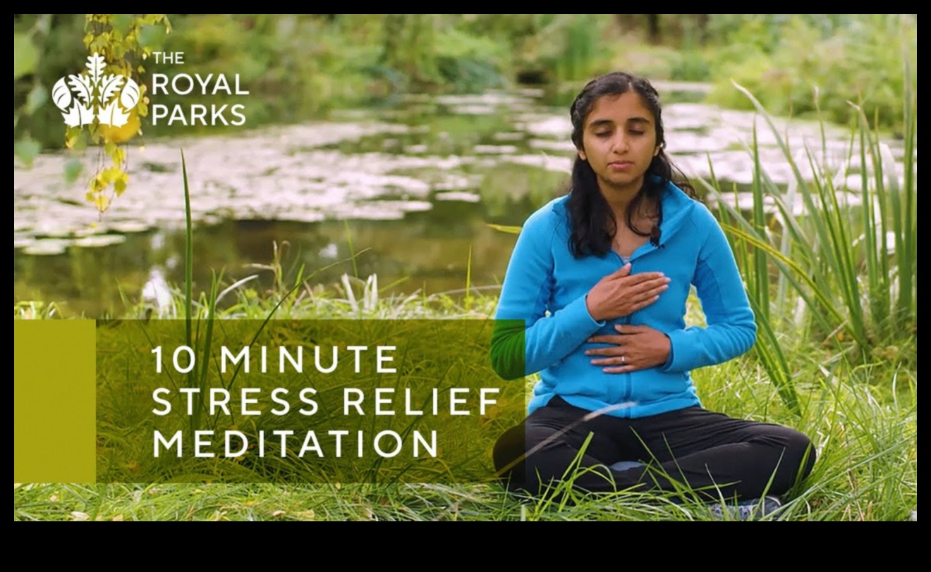 Άτομα που αναζητούν γαλήνη Πώς μπορεί ο διαλογισμός να σας βοηθήσει να βρείτε καθημερινή ανακούφιση από το άγχος 2 Αναζητητές γαλήνης: Καλλιέργεια καθημερινής ανακούφισης από το στρες μέσω διαλογισμού