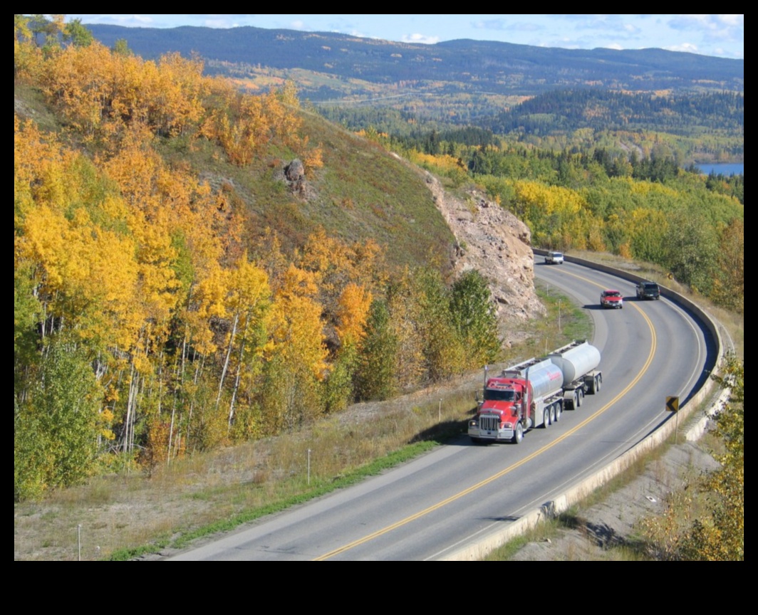 Highway Harmonies: The Synchronized Movement of Commercial Trucks on the Road