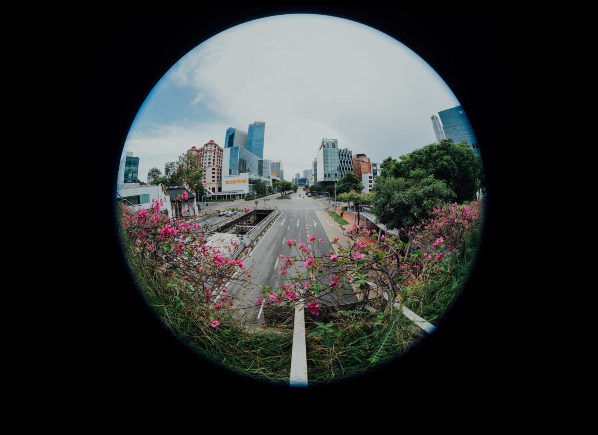 Prime Elegance: Αναβαθμίστε τη φωτογραφία σας με οπτικά κορυφαίας βαθμίδας