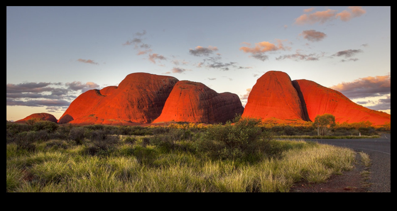Prime Elegance: Αναβαθμίστε τη φωτογραφία σας με οπτικά κορυφαίας βαθμίδας