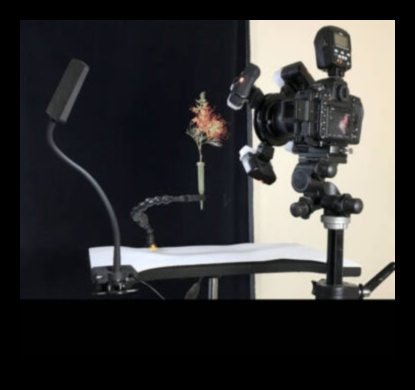 Εστίαση φλας: Φωτίστε τις λήψεις σας με προηγμένο εξοπλισμό φωτισμού