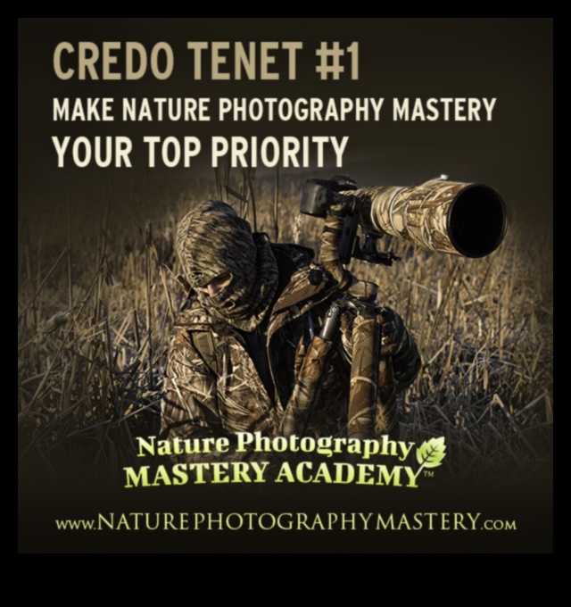 Framing Excellence: A Journey into Photography Education Mastery