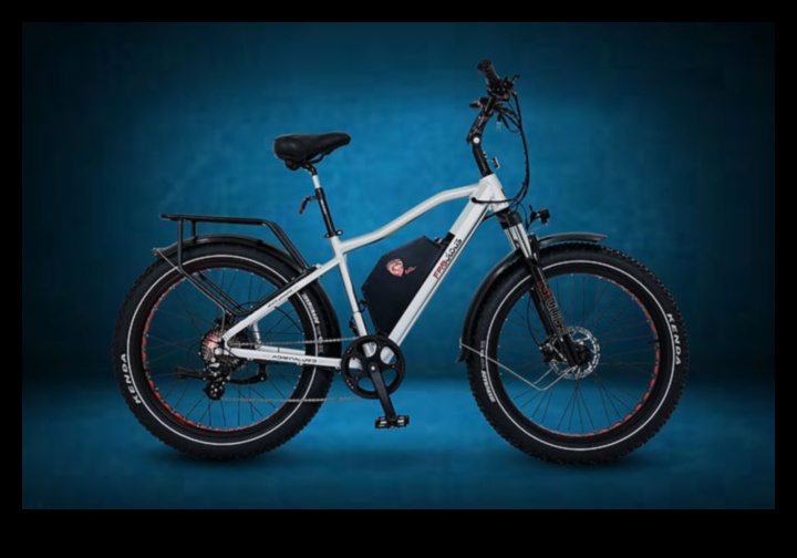 Road Warriors: Exploring the Endurance and Reliability of Touring Bikes