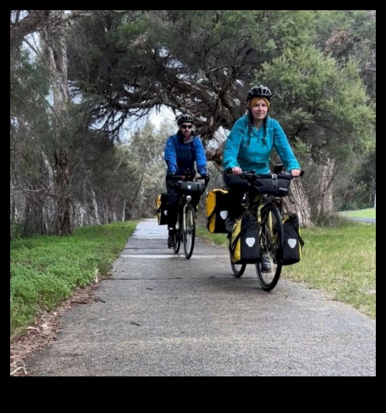 Road Warriors: Exploring the Endurance and Reliability of Touring Bikes