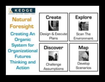 Crafting Futures: The Business Innovation Playbook