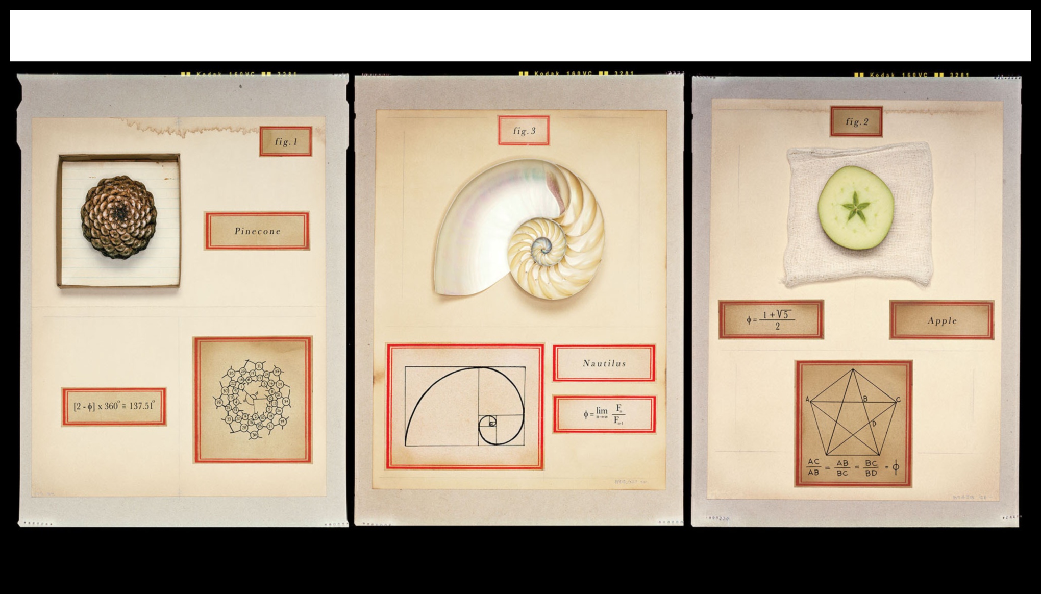 Η εξίσωση της διαδικασίας Πώς να εξισορροπήσετε την καινοτομία και την ανταμοιβή 2 Η Εξίσωση Διαδικασίας: Εξισορρόπηση καινοτομίας και ανταμοιβής