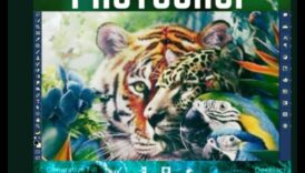 Pixel Wizardry: Απελευθερώνοντας τη δημιουργικότητα με το Adobe Photoshop