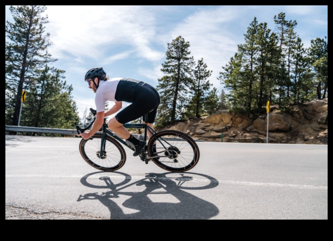 Road Warriors: Exploring the Endurance and Reliability of Touring Bikes