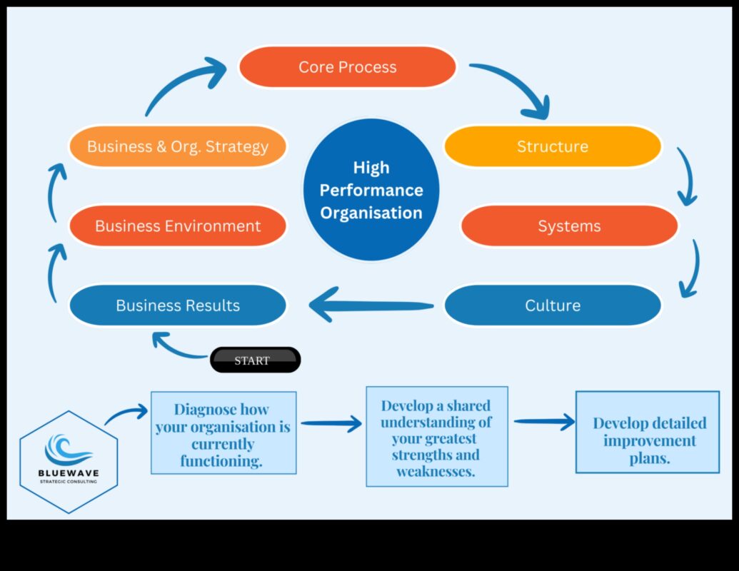 Riding the Business Wave: Strategies for Management Success