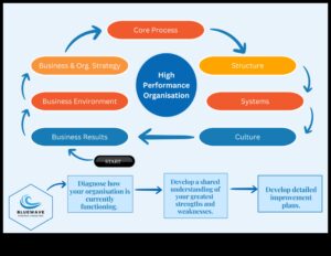 Riding the Business Wave: Strategies for Management Success