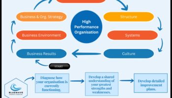 Riding the Business Wave: Strategies for Management Success